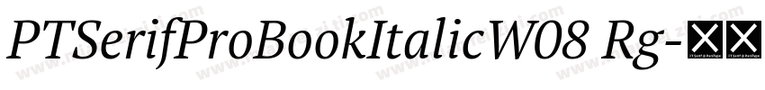 PTSerifProBookItalicW08 Rg字体转换